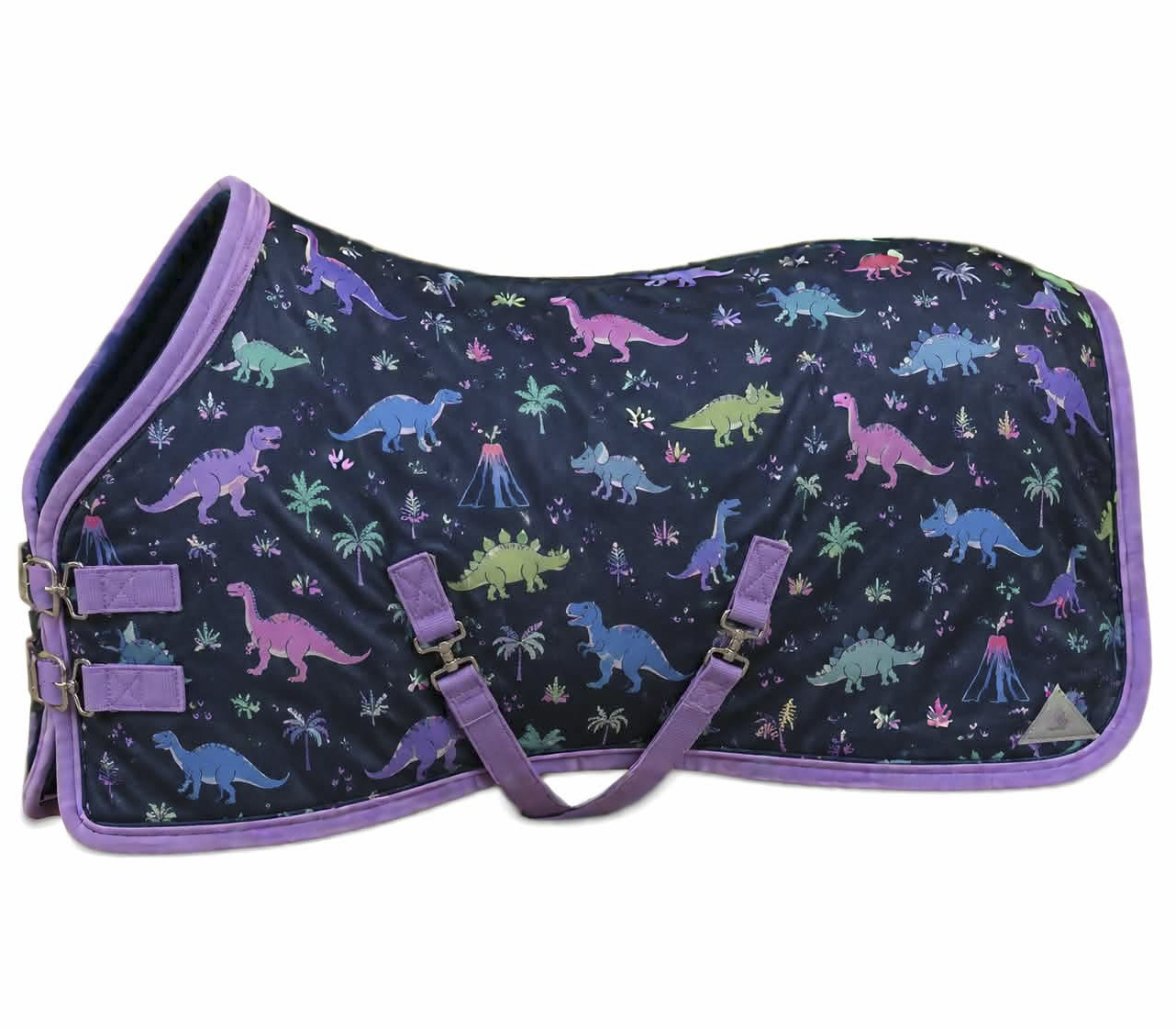 Dinosaur Blanket